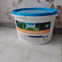 pittura