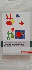 Analisi matematica 1 - Pagani Salsa