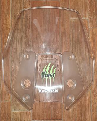 Cupolino Moto kawasaki Versys 1000