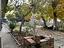 Immagine 26