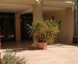 Appartamento arredato con 3 camere