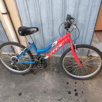 Bici diametro 24 
