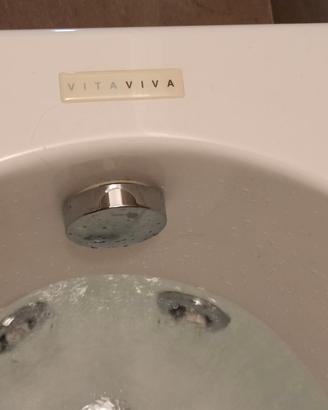 Vasca idromassaggio usata Vitaviva