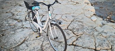 Bicicletta per donna