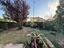 Immagine 12