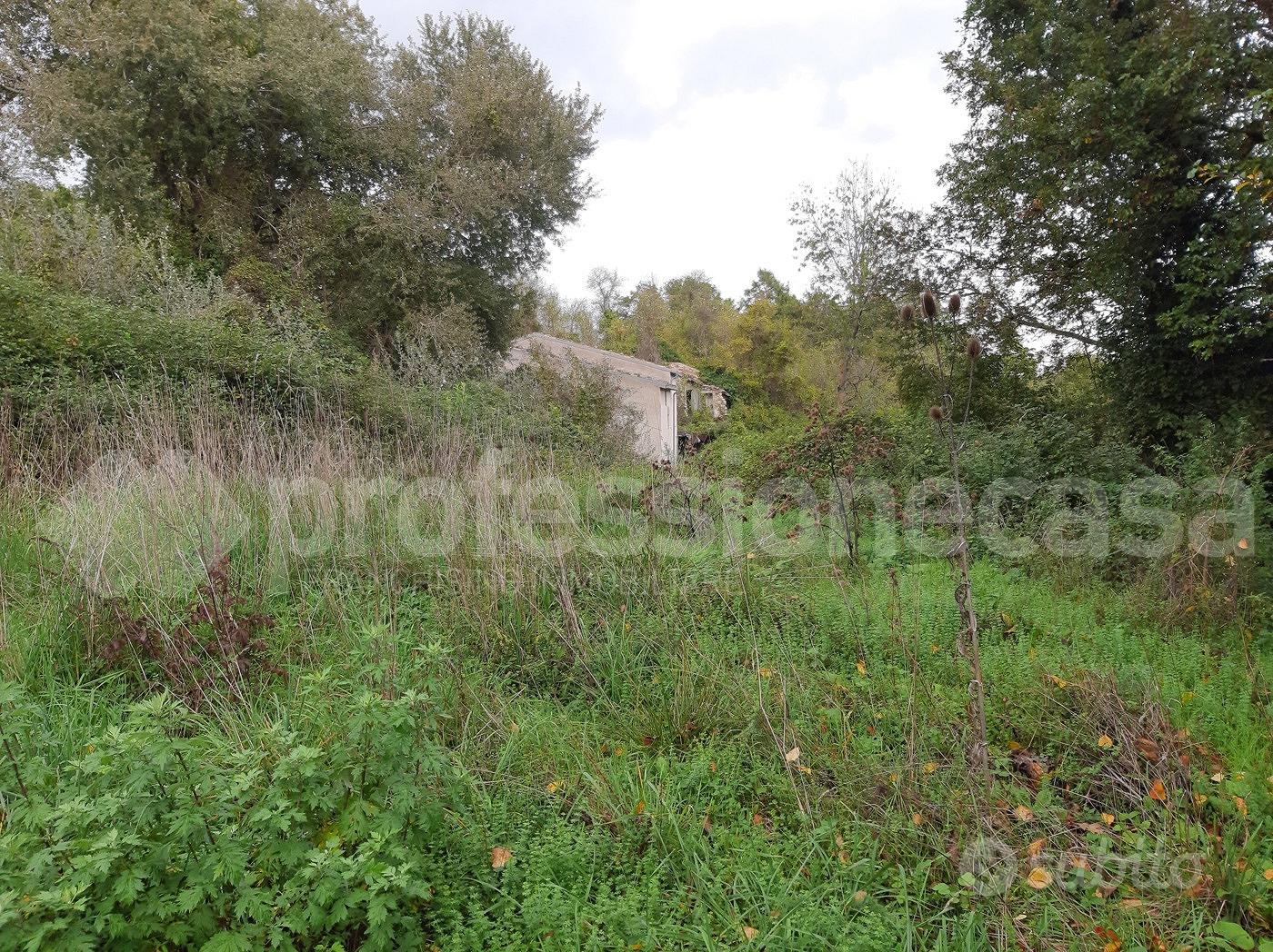 Rustico/Casale/Corte San Pietro Avellana [3824VRG] - Vista 4