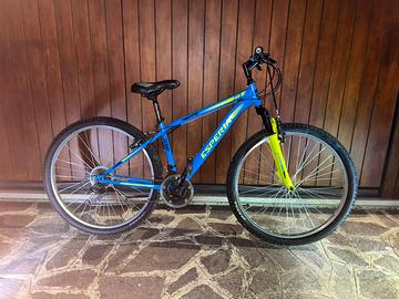 Bicicletta Esperia
