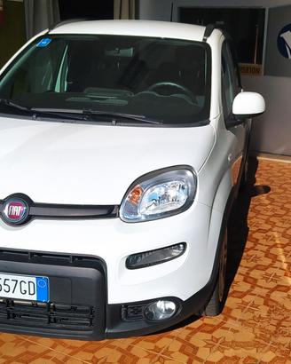 Fiat Panda 1.0 FireFly S&S Hybrid
