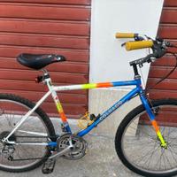 Bici mtb 26