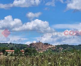 Terreno Agricolo Bibbona [TA-06VCG]