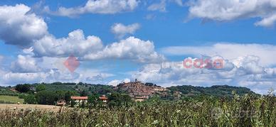 Terreno Agricolo Bibbona [TA-06VCG]