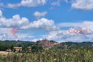 Terreno Agricolo Bibbona [TA-06VCG]