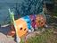 Immagine 1