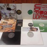 LOTTO 20 MIX 12" HOUSE