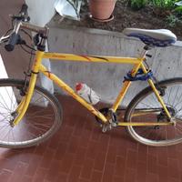 Bici mountain bike