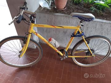 Bici mountain bike