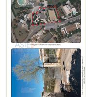 Attività Commerciale Noci [A4277102]