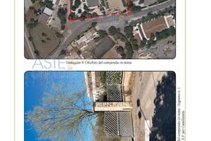 Attività Commerciale Noci [A4277102]