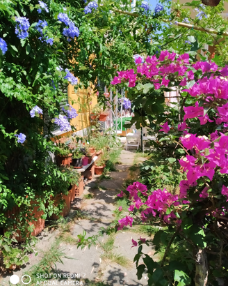 Sestri Levante in passeggiata con giardino