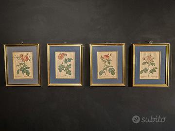 4 Stampe Botaniche