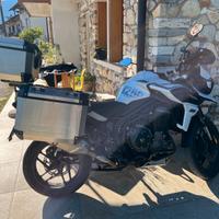 Triumph Tiger 1200 - 2021