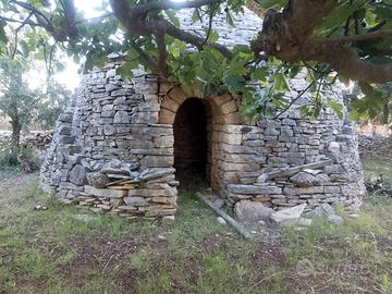Casa rurale con annesso deposito attrezzi e trullo