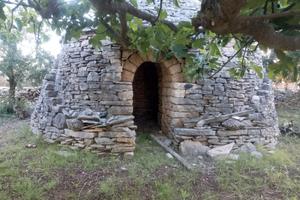 Casa rurale con annesso deposito attrezzi e trullo