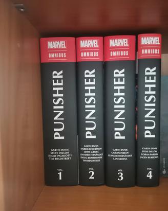 lotto the punisher ennis + fumetti 