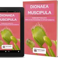 Dionaea Muscipula in Appartamento: Guida Pratica