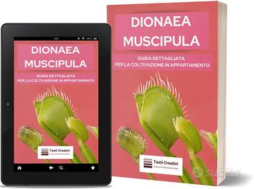 Dionaea Muscipula in Appartamento: Guida Pratica