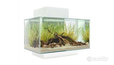 Acquario Askoll fluval Edge