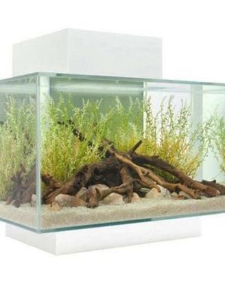 Acquario Askoll fluval Edge