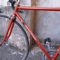 Bicicletta da Corsa Sedazzari