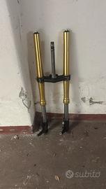 Forcelle e forcella xadv 750