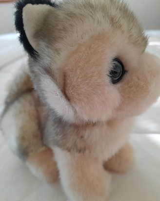 Peluche Trudi "Trudini" Husky