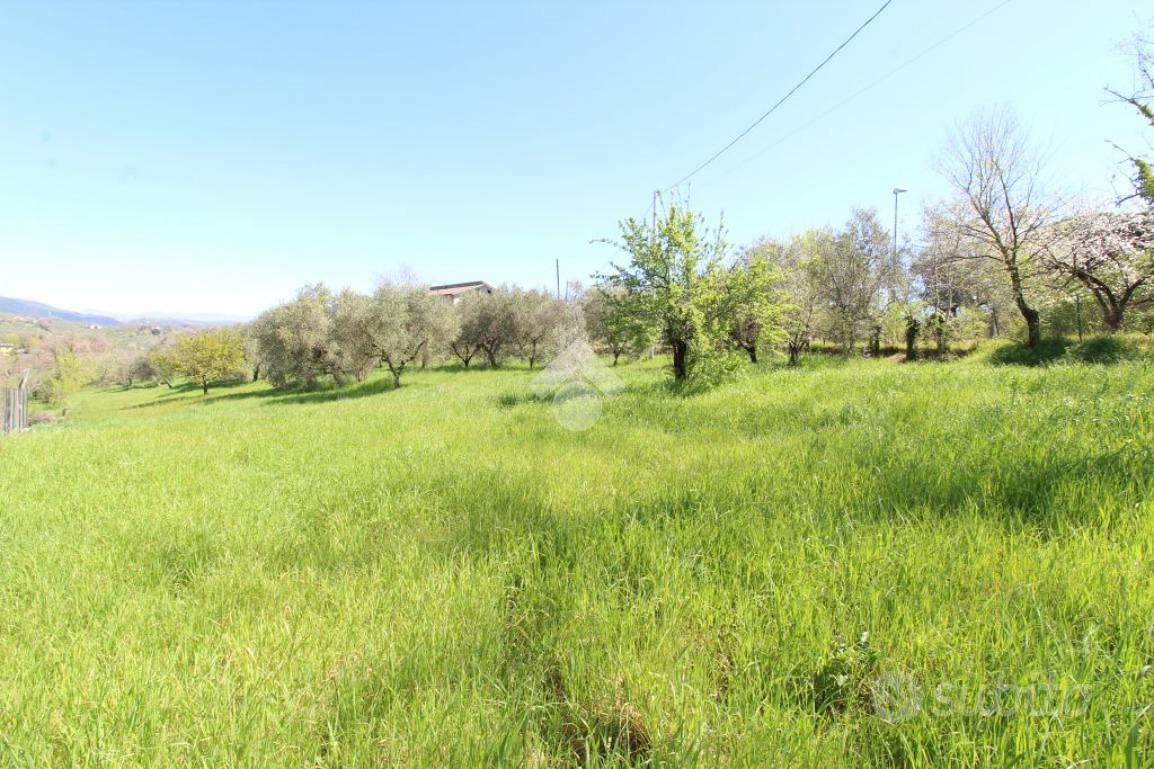 TER. RESIDENZIALE A POGGIO NATIVO - View 4