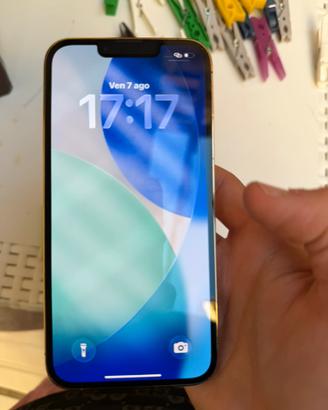 Iphone 13 pro