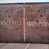 Harry Potter Valigetta Set Completo 24 Wizzis