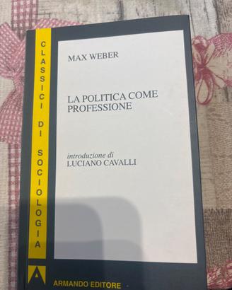 La politica come professione
