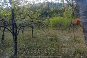 Appartamento Vernasca [A4355278]
