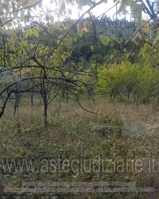 Appartamento Vernasca [A4355278]