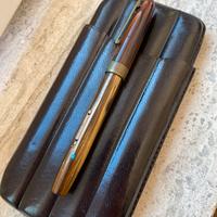 Penna stilografica Waterman