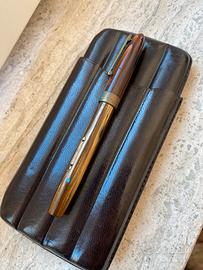 Penna stilografica Waterman