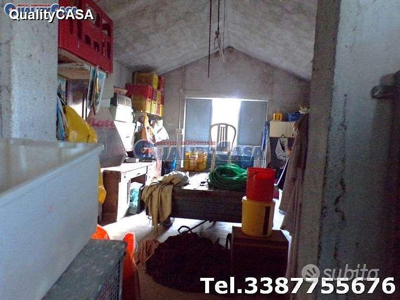 Terreno con ulivi e annesso a Morro D'Alba - Vista 5