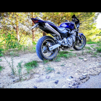 Honda Hornet 600