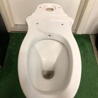 WC PER DISABILI CON CASSETTA pontegiulio