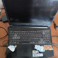 Acer nitro 5 nvidia 3070