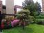 Immagine 17