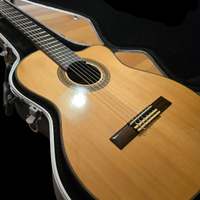 Chitarra da concerto BARRIOS mod.SPRING cut-away
