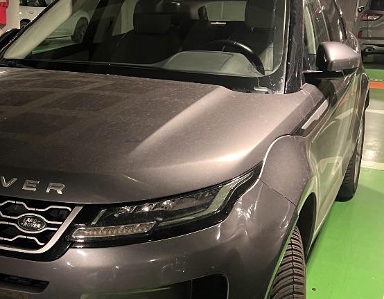 LAND ROVER Range Rover Evoque 2.0D 14- L.FIw 150 C